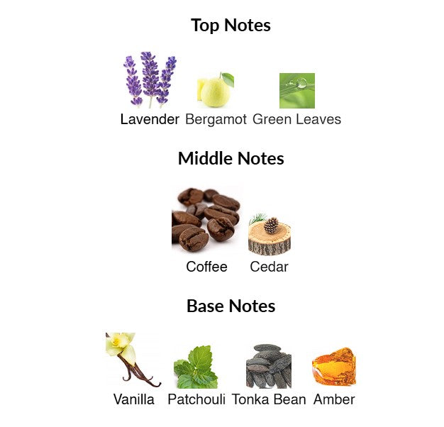 New Haarlem Bond No 9 3.3