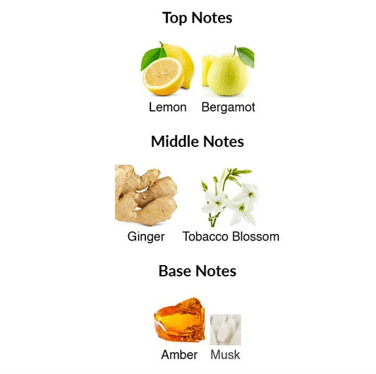 Shop Aromatix