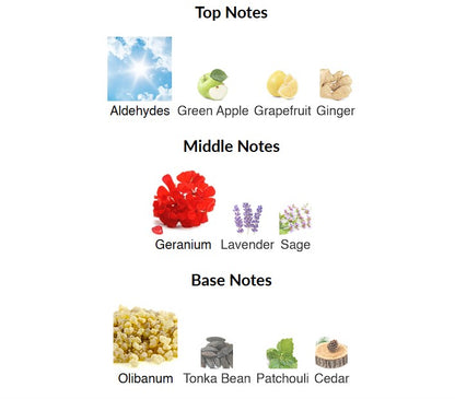 Connoisseur Man Armaf