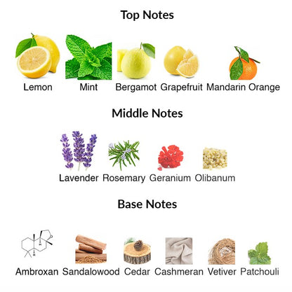 Sedley Parfums de Marly 4.2