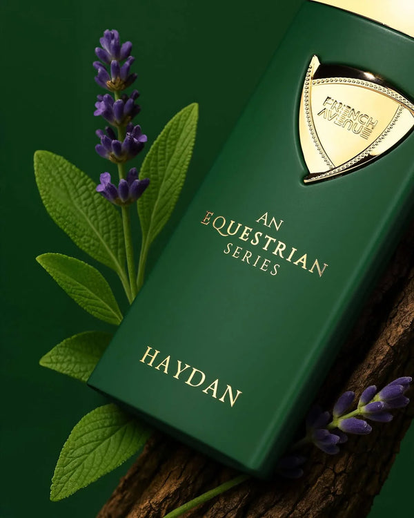 Haydan An Equestrian Series by French Avenue