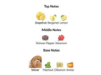 Paradox Vetiver Fragrance World